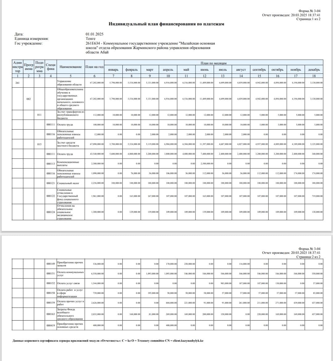 2025 жылға бюджет планы